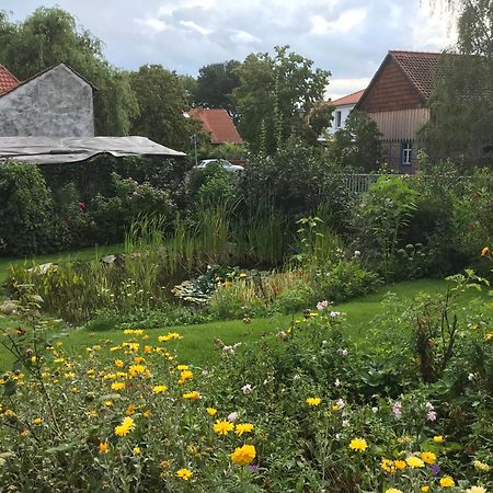 Schoene Gemuetliche Ferienwohnung Mit Kamin I Im Harz Darlingerode 外观 照片