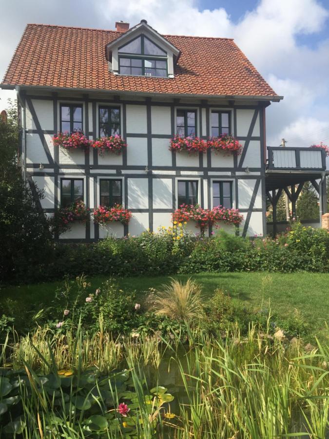 Schoene Gemuetliche Ferienwohnung Mit Kamin I Im Harz Darlingerode 外观 照片