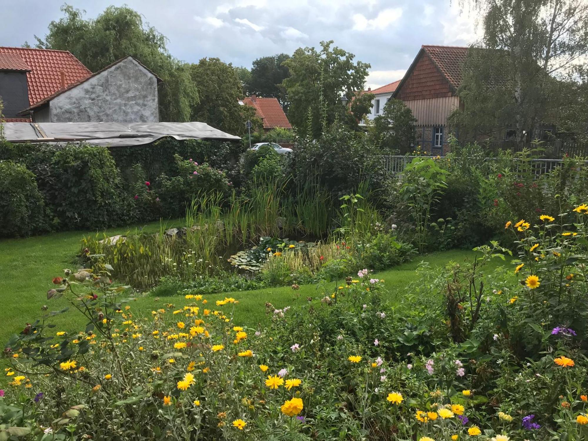 Schoene Gemuetliche Ferienwohnung Mit Kamin I Im Harz Darlingerode 外观 照片