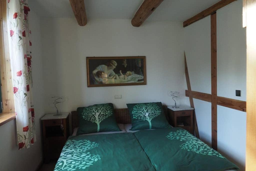 Schoene Gemuetliche Ferienwohnung Mit Kamin I Im Harz Darlingerode 外观 照片